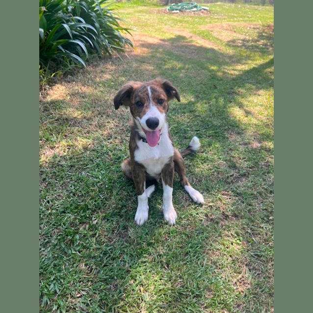 Photo of Axel