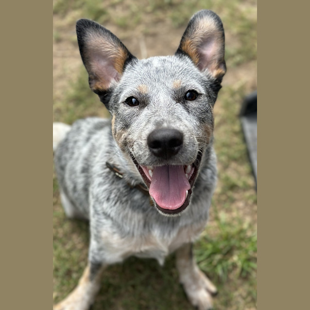 Photo of Murphy