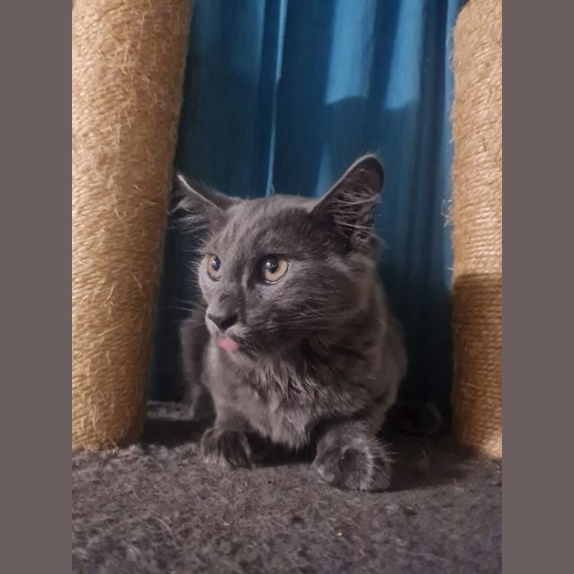 Photo of Victor