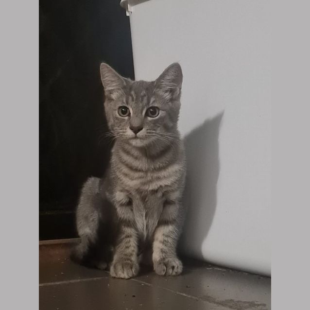 Photo of Lydia
