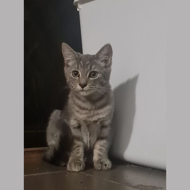 Photo of Lydia