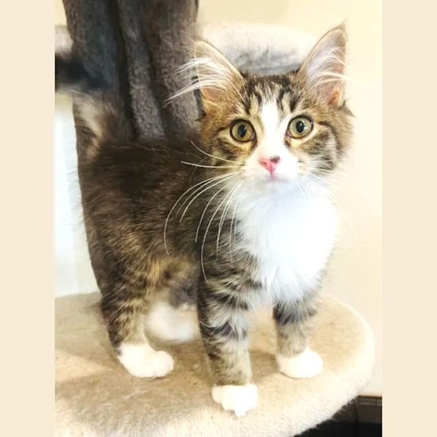 Photo of Natasha   Located In Preston