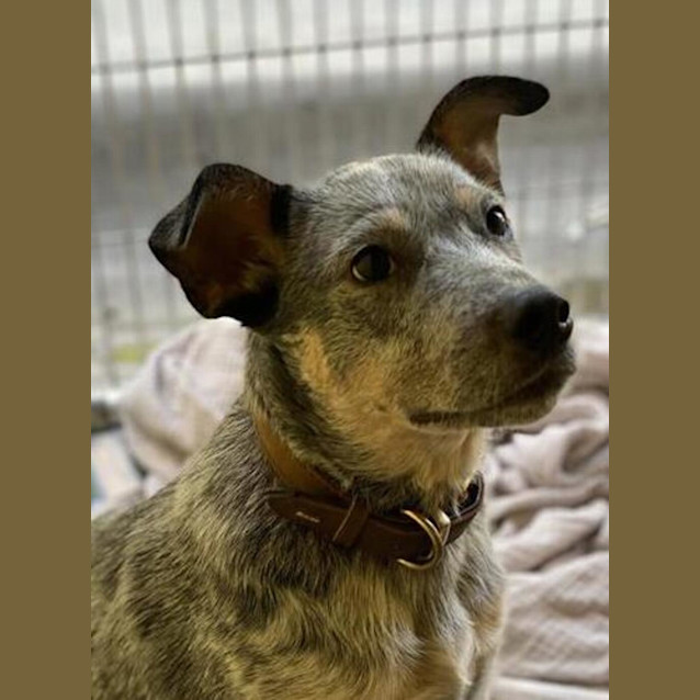 Photo of Murphy