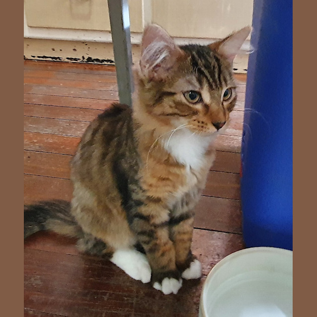 Photo of Tristan (Was Christian)