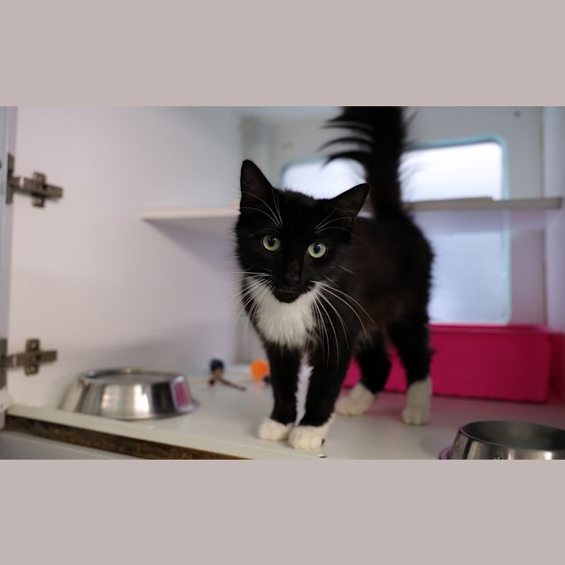 Photo of Effie