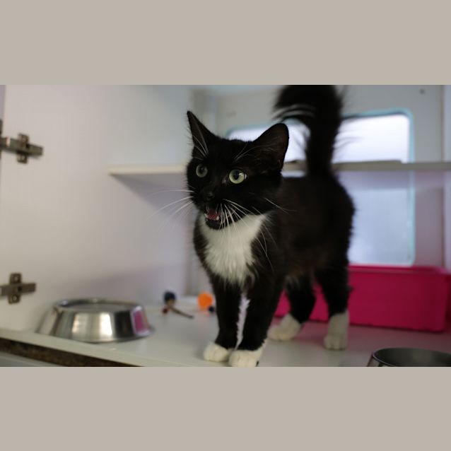 Photo of Effie