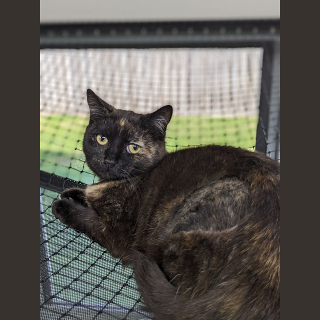 Photo of ❄ Nancy F02767 ❄