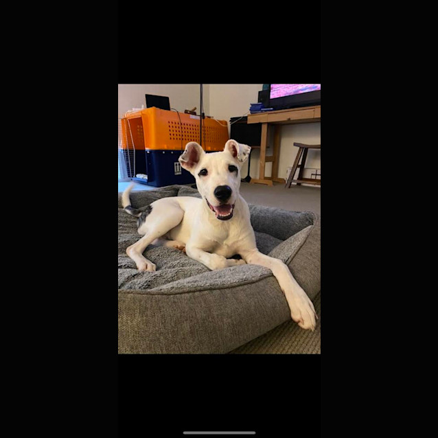 Photo of Yuki 🍵 