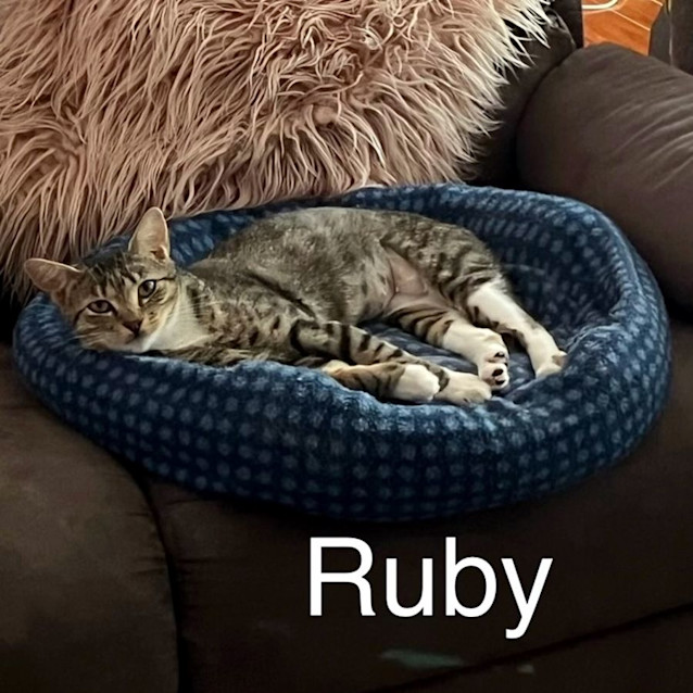 Photo of Ruby Sta012034