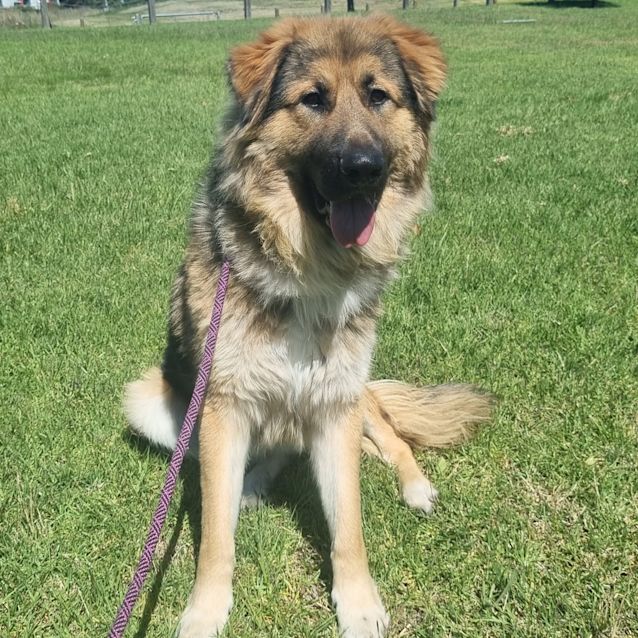 Photo of Ace