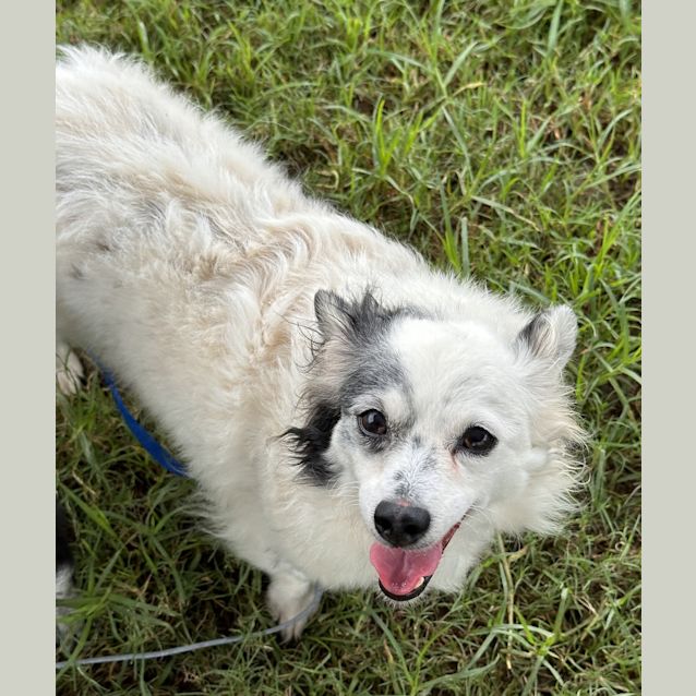 Photo of Bobbie