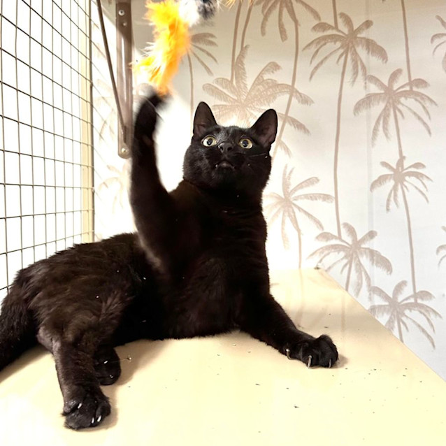 Photo of Quaxi   Meet Me At Nelly's Ark In Fairfield