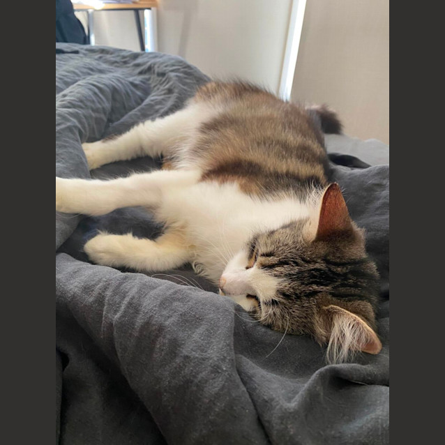 Photo of 🎀Bonnie🎀