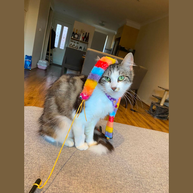 Photo of 🎀Bonnie🎀