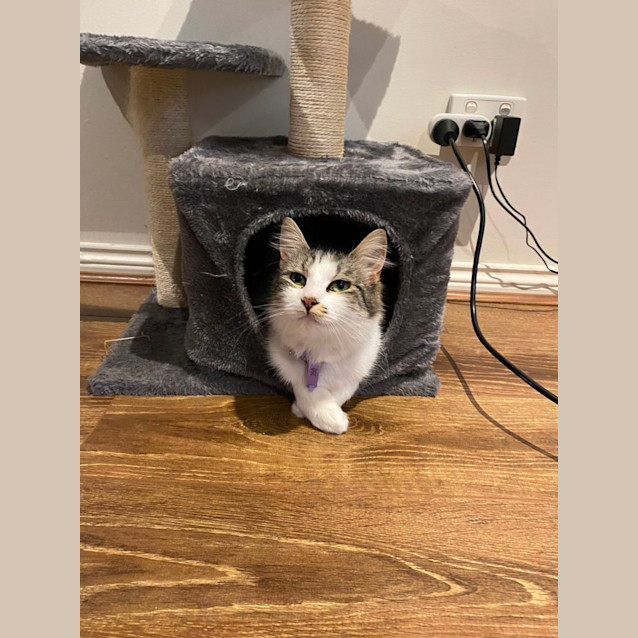 Photo of 🎀Bonnie🎀