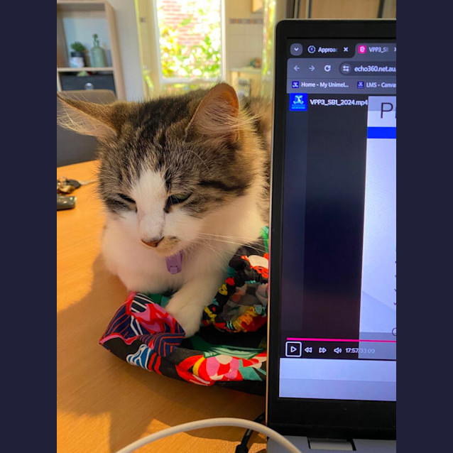 Photo of 🎀Bonnie🎀