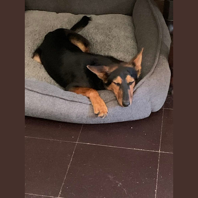Photo of Ted