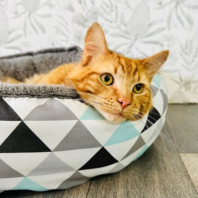 Photo of Tito   Located In Preston