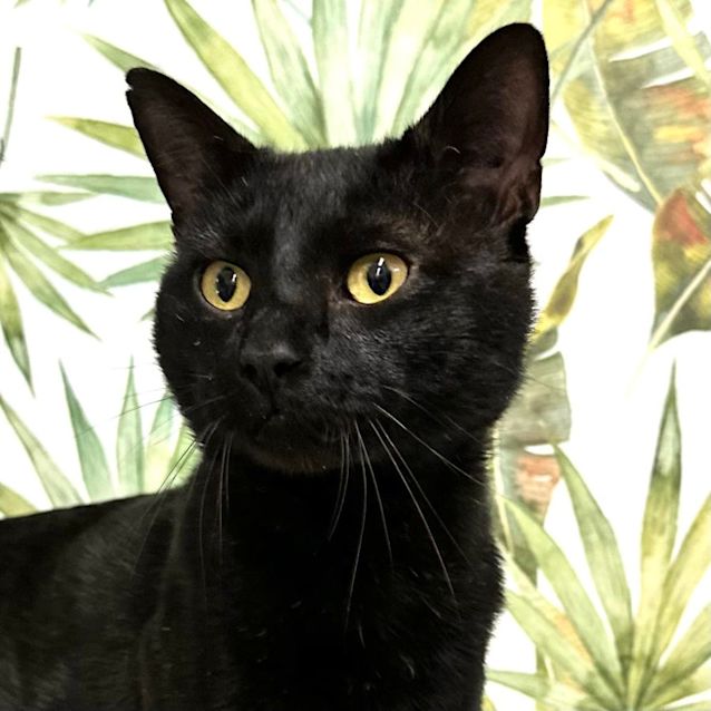 Photo of Charlie   Located In Preston