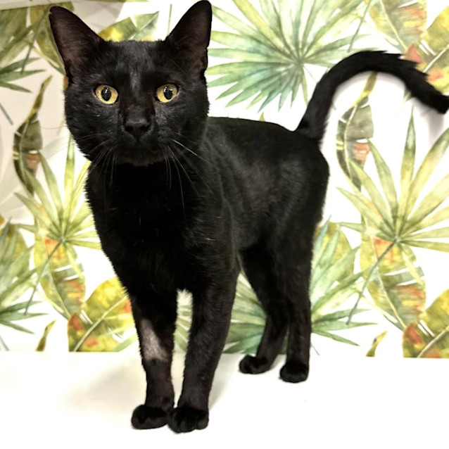 Photo of Charlie   Located In Preston