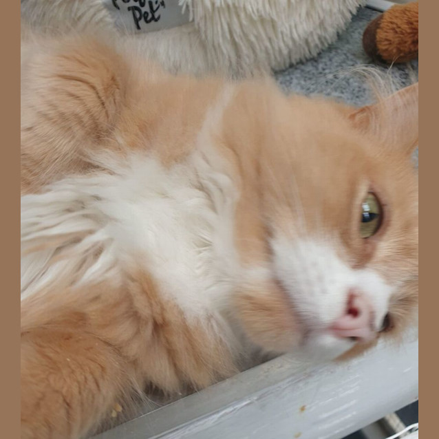 Photo of Harry And Wills