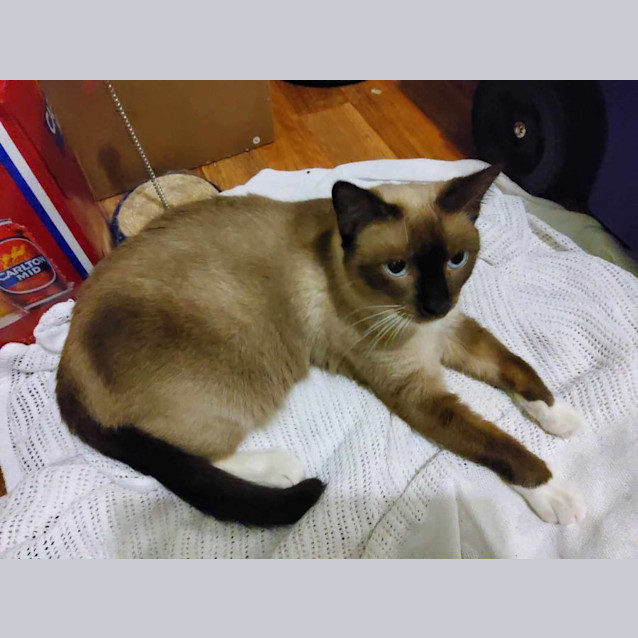 Photo of Lucy