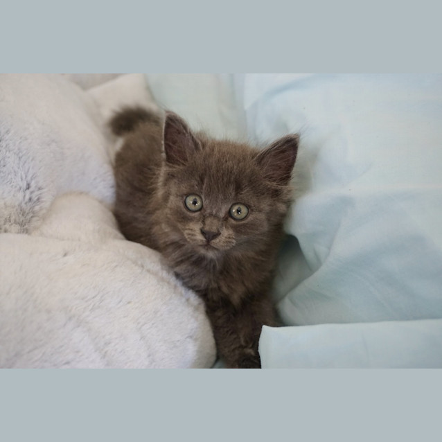 Photo of Blinky