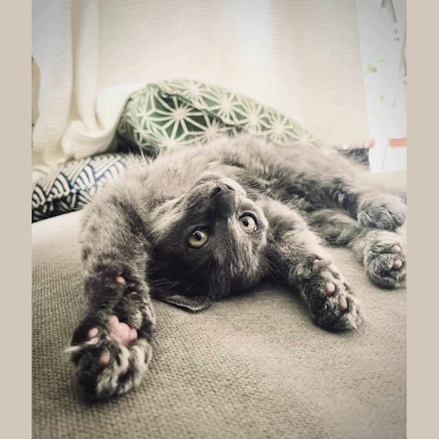Photo of Blinky