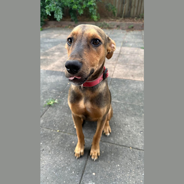 Photo of Hudson
