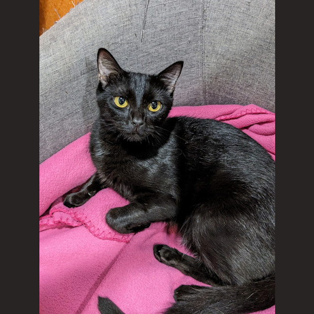 Photo of Milo