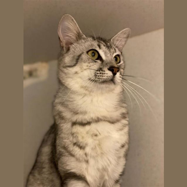 Photo of Captain 
