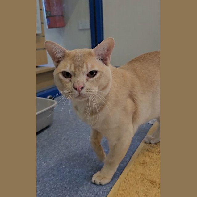 Photo of Mr Deja Skye