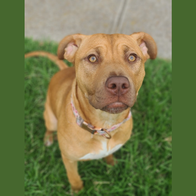 Photo of Athena