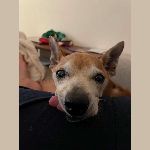 Photo of Riley Yarbury