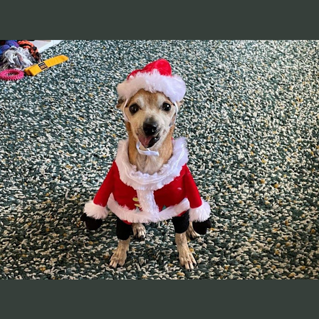 Photo of Riley Yarbury