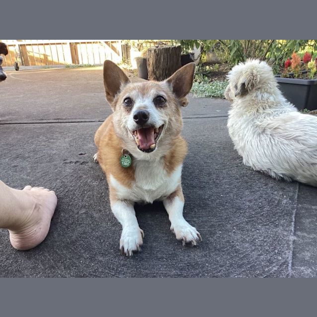 Photo of Walter Dahlstrom