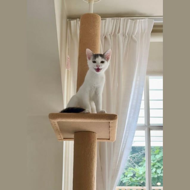 Photo of Penelope & Dot