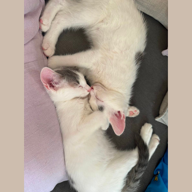 Photo of Penelope & Dot