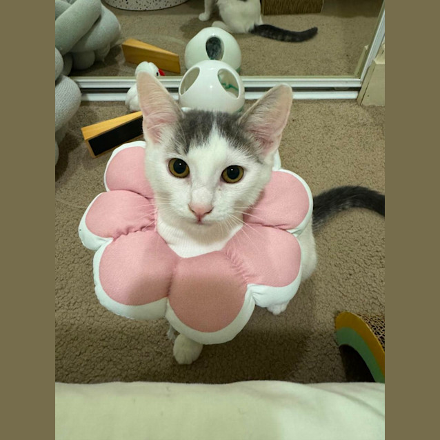 Photo of Penelope & Dot