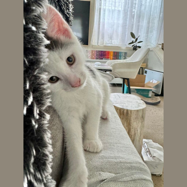 Photo of Penelope & Dot