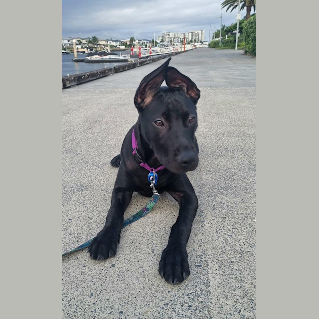 Photo of Beryl