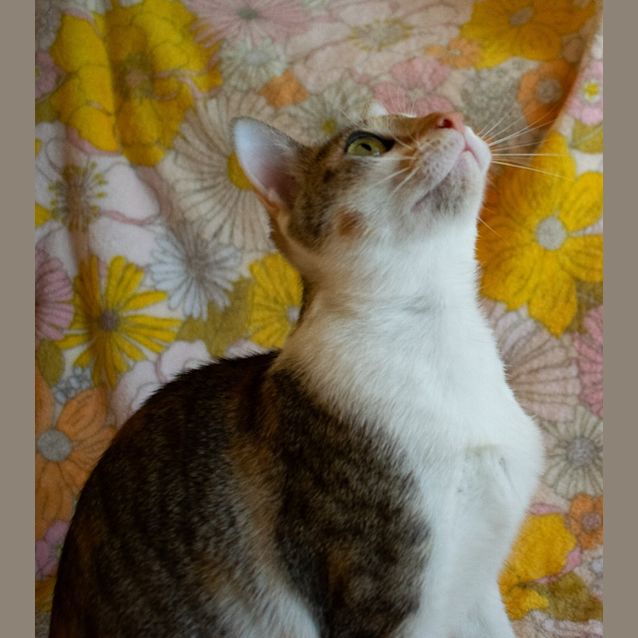 Photo of Mabel