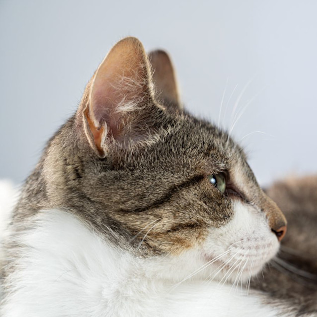 Photo of Benny