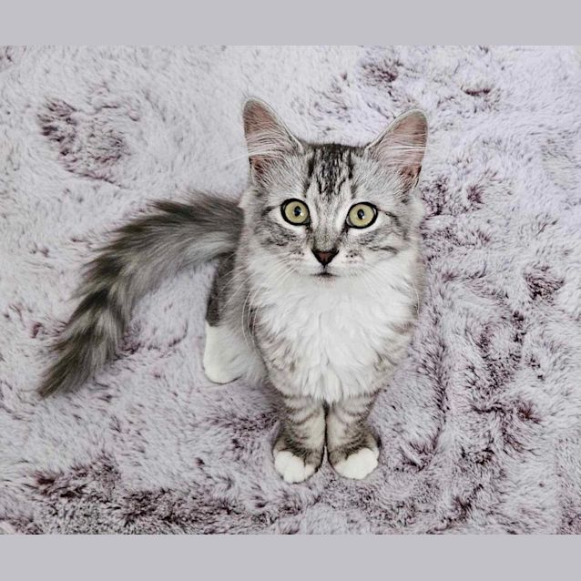 Photo of Meredith