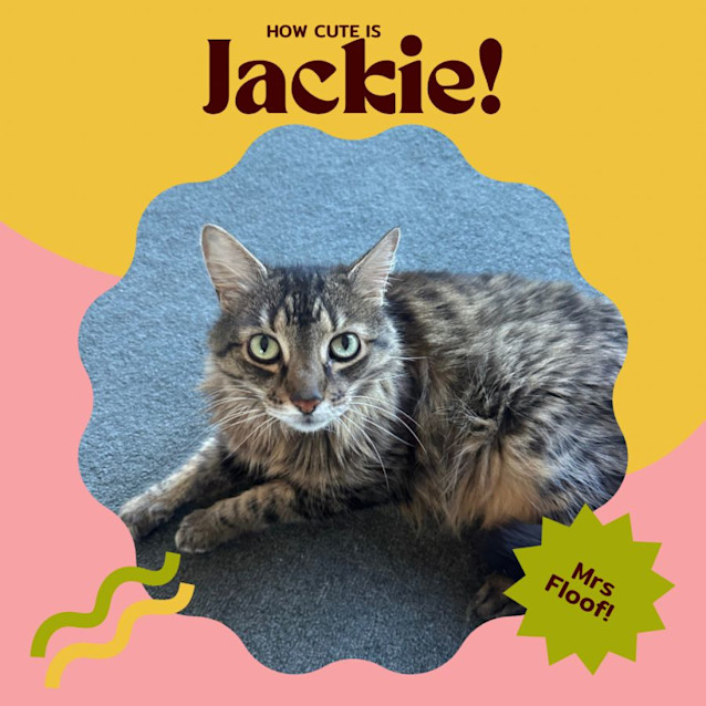 Photo of Jackie Steele 🤠🌵🐴