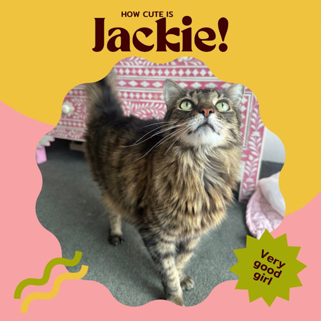 Photo of Jackie Steele 🤠🌵🐴