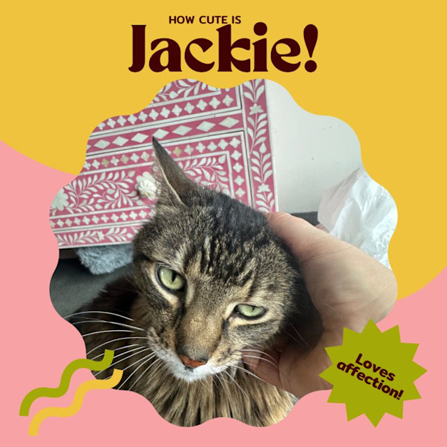 Photo of Jackie Steele 🤠🌵🐴