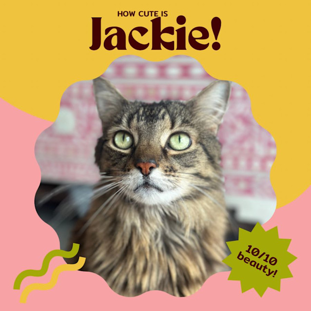 Photo of Jackie Steele 🤠🌵🐴