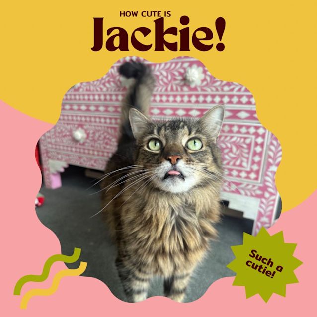 Photo of Jackie Steele 🤠🌵🐴