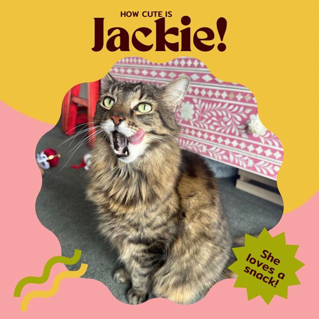 Photo of Jackie Steele 🤠🌵🐴